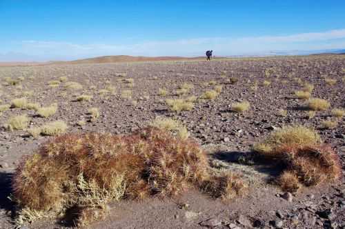 TREKKING NEL DESERTO DI ATACAMA 2015